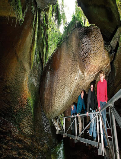 Te Anau-Te Anau Cave Tour